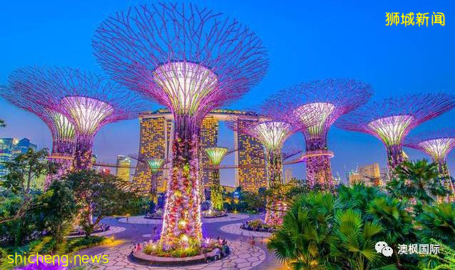 移民新加坡正当时