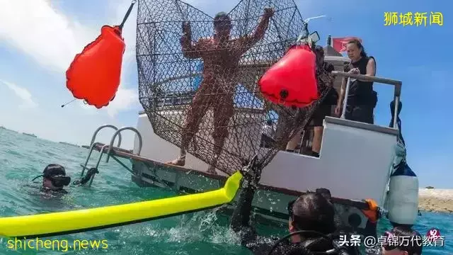 新加坡 配合地球日再出发 环保义工海中清理垃圾塑料最多