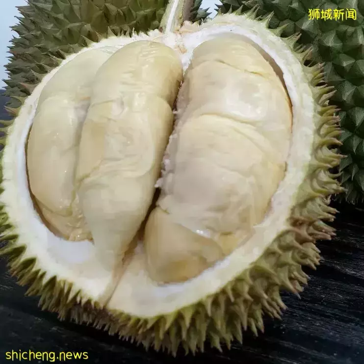 因爲減産,都漲價了!新加坡最火的11種榴梿價格表出爐