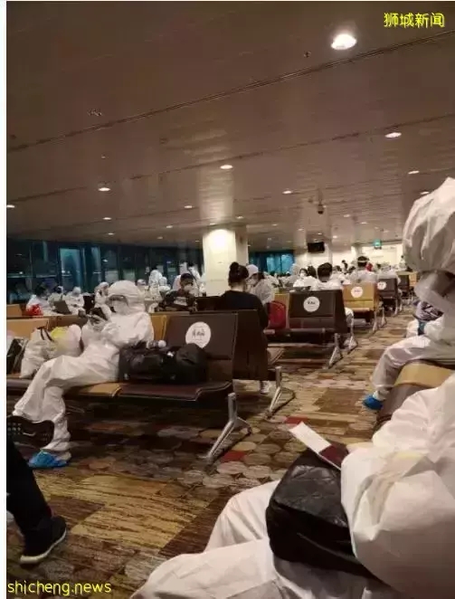 新马空勤再扩大！酷航开通直飞大马美里航班