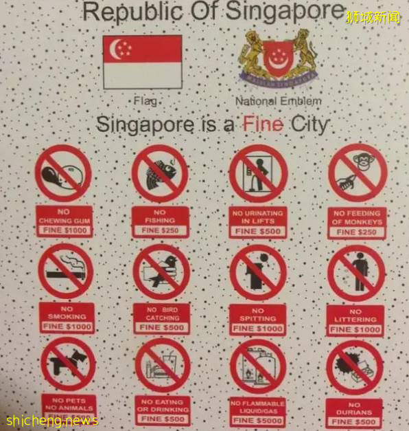 新加坡的知识点