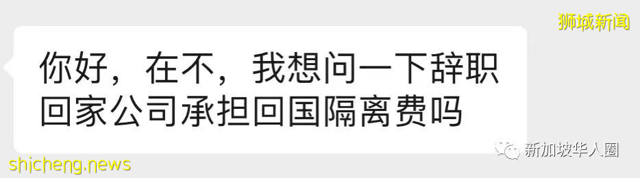 辞职回国，新加坡雇主要承担回国隔离费吗？人力部官员回复
