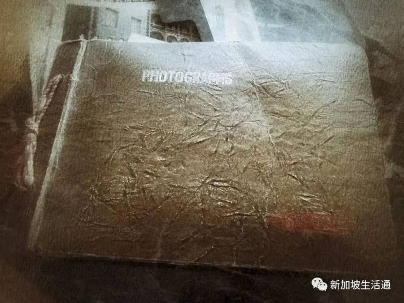 新加坡娃游记：第一次带娃出国必选新加坡的理由