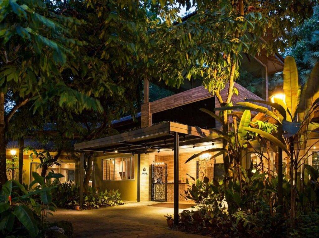 全新探索攻略💐“Botanic Garden”還可以這樣玩!唯美天鵝湖、奇妙曆險公園,解鎖新視野