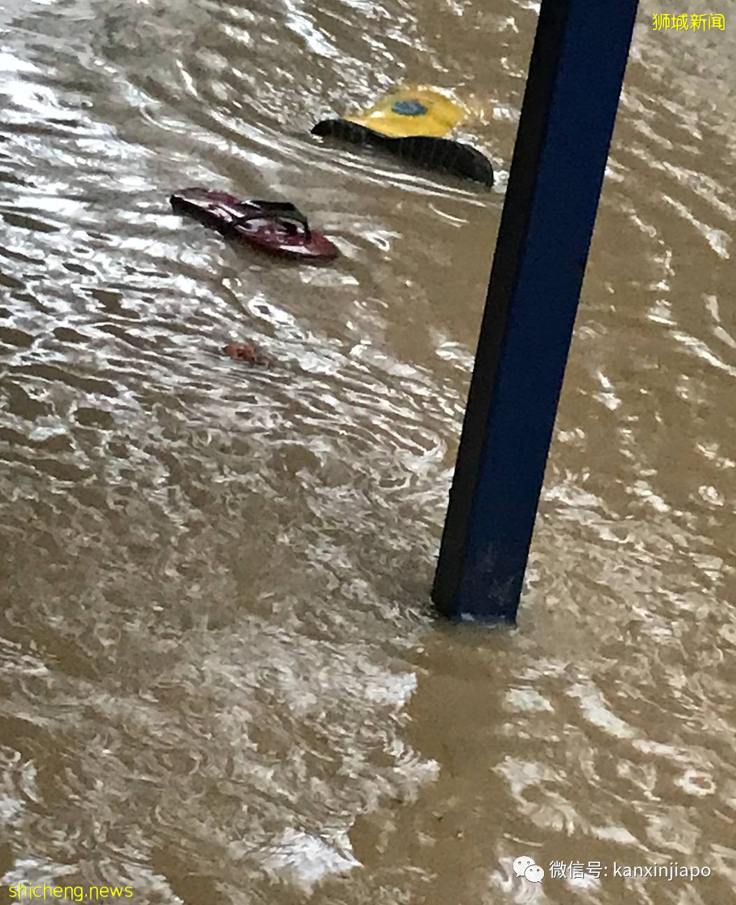 新加坡狂下豪雨,多处变汪洋,瞬间“入冬”