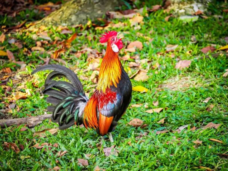 每一張都是 Ins 大片！這樣的新加坡你見過嗎