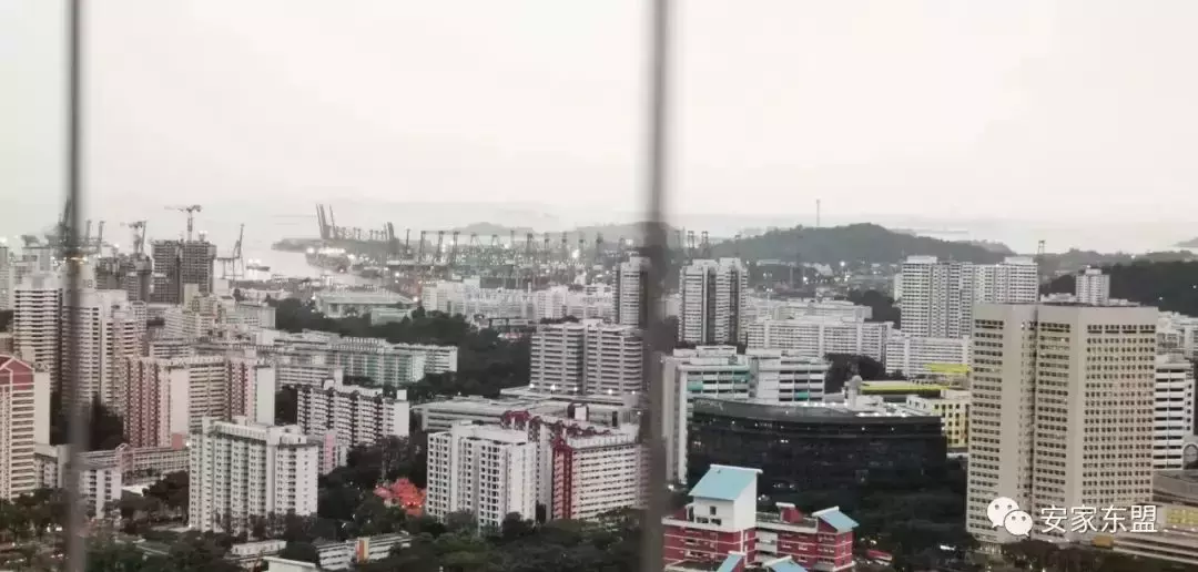 南峰雅苑剩下單位不多,過年促銷,靠近市區性價比最高的學區房