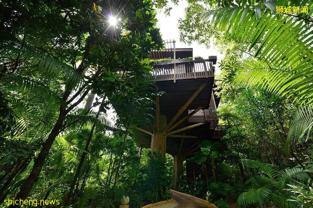 遊獅城 上天入海,多的是你不知道的新奇體驗