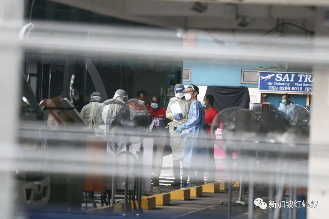 别自己吓自己! 康复的新加坡客工“呈阳”不一定都是二度感染冠病