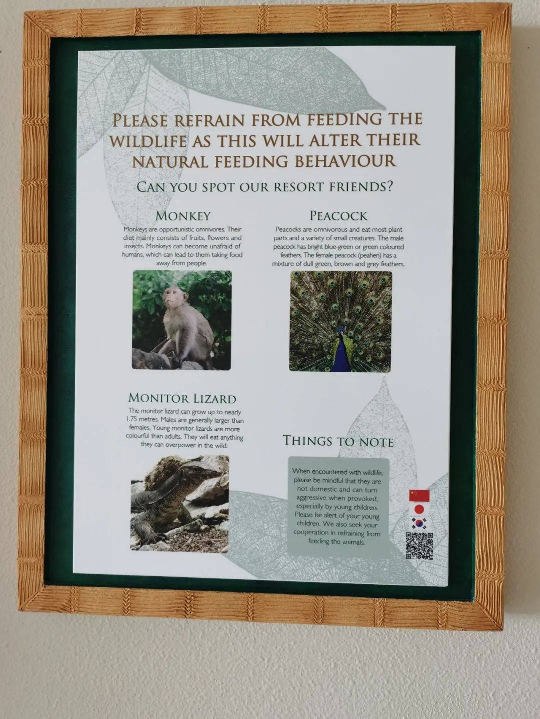 吃土也要去!1家3口嗨翻新加坡五星級酒店,私人沙灘、樹屋、兒童俱樂部…太值了