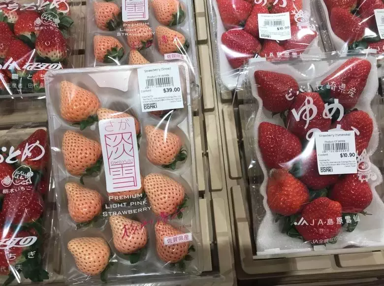 新加坡最大！Don Don Donki新店即将开张，飞行主题超酷炫