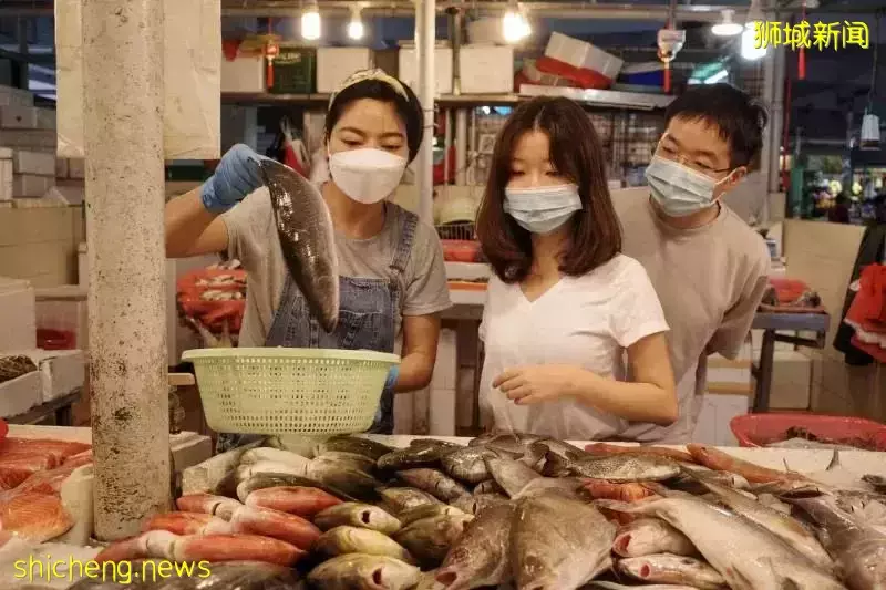 两个中国人、一个曾在上海工作的比利时人为何在疫中成为新加坡人