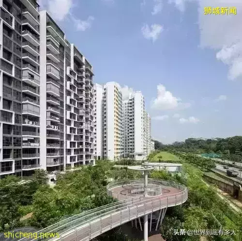 45张照片,带你见识新加坡,不为人知的另一面