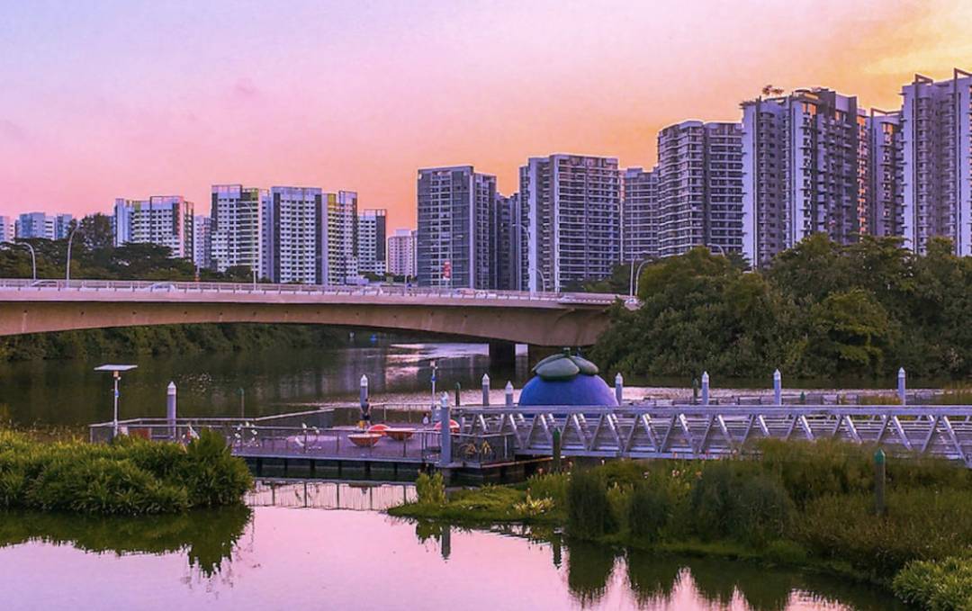 新加坡最美10个蓄水池公园,人少、闺蜜野餐遛娃拍照