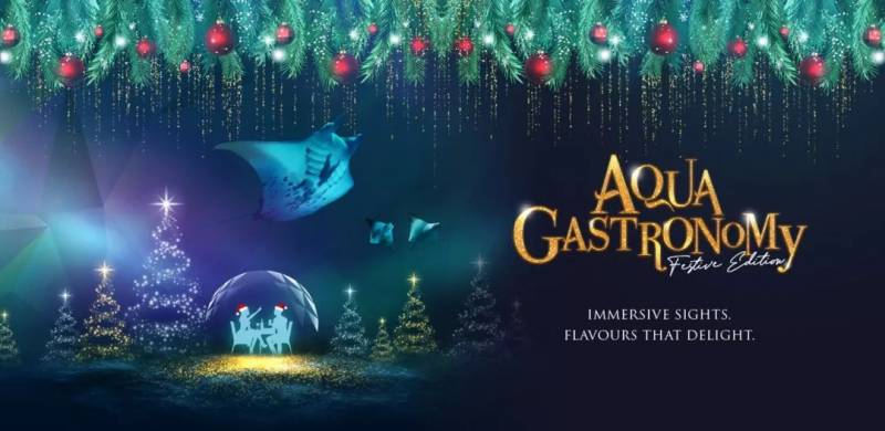 SEA海洋館聖誕主題“深藍夜宴”,夢幻圓頂冰屋下體驗浪漫限定晚餐