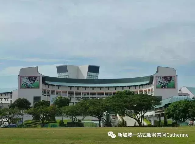 初級學院線上開放日來襲O水准之後怎樣報讀?最全介紹看過來