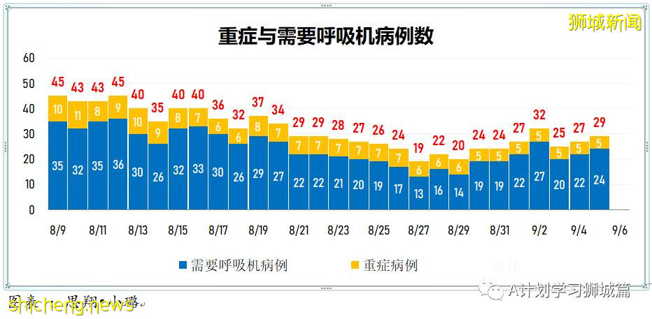 9月6日，新加坡疫情：新增241起，其中本土235起，輸入6起；培童小學一名學生確診