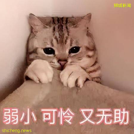 别人以为我在新加坡的生活 VS 我实际上的生活