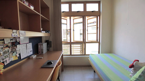 新加坡本地三所大学简历NUS(1)1617