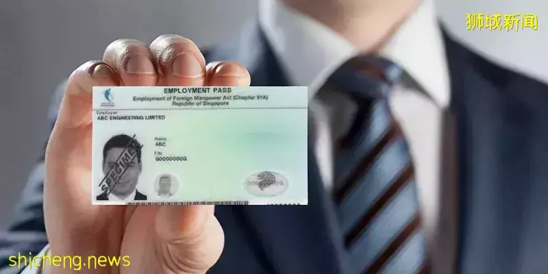 PR通過人數創新高!EP和SP人士這樣申請更容易獲批