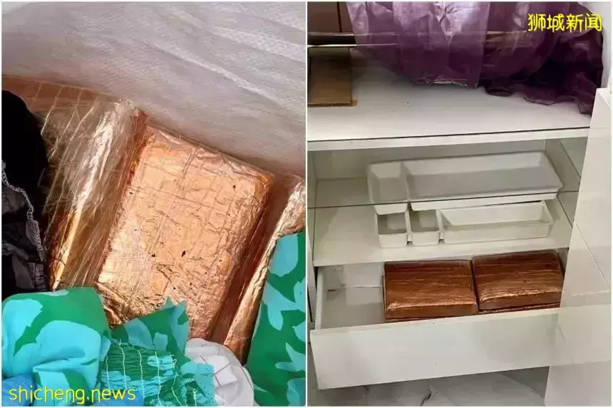 新加坡警方緝獲近9公斤大麻和海洛因,價值29萬美元;30萬張公共運輸券仍“無人認領”每張價值30美元