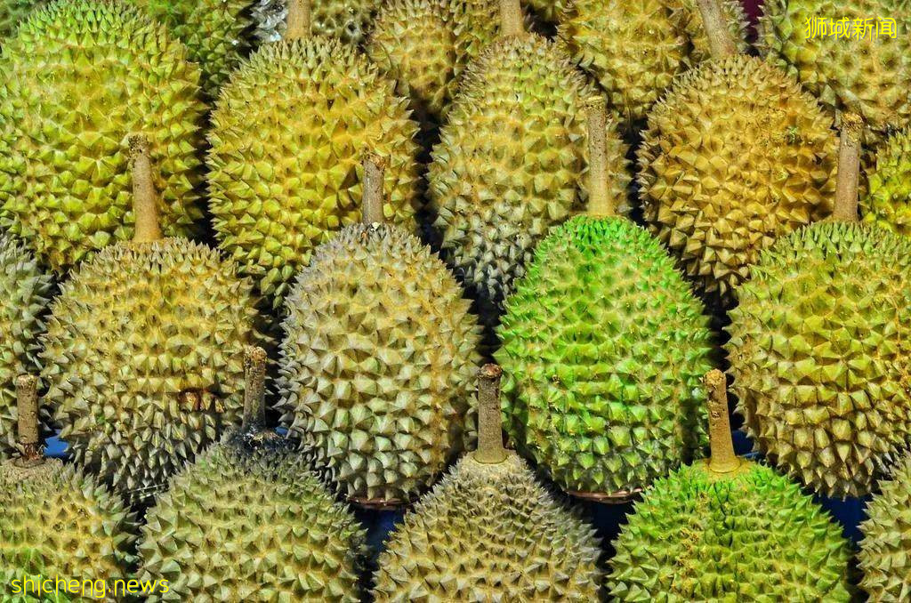 在新加坡花錢健身?不如賣榴梿鍛煉身體,這家店招募猛男