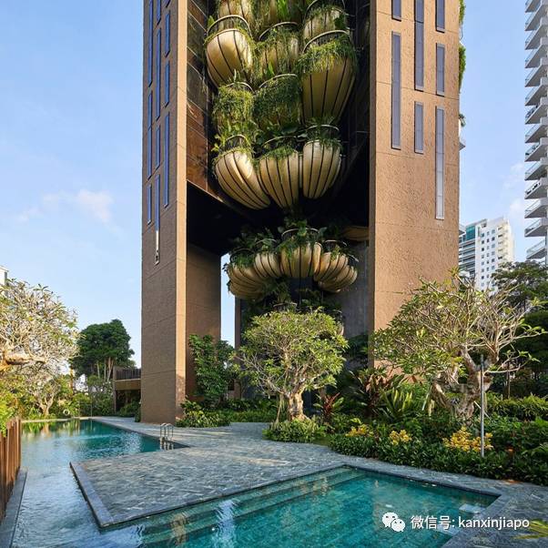 3亿新币买下乌节路整栋20层公寓买家浮出水面,原来是这对父子