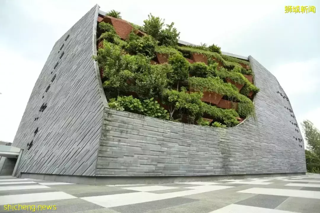 藏不住了！新加坡8個超小衆博物館，你聽說過嗎