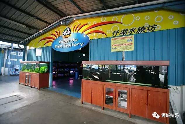 新加坡最大的漁場，35年曆史！免費賞魚，$6釣魚，還有魚療足浴