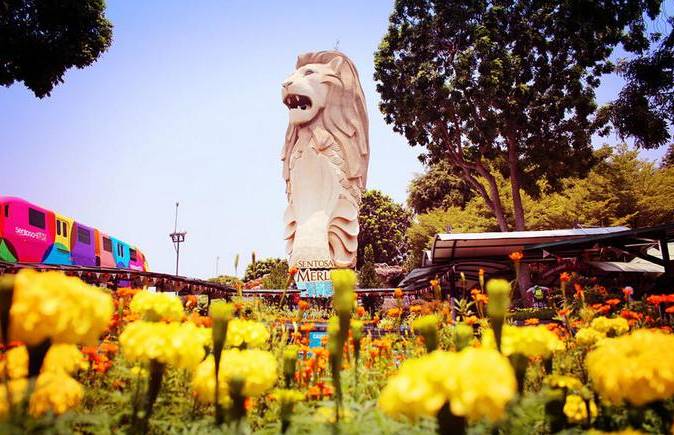 艹！新加坡鱼尾狮居然要被拆？背后究竟有多大的利益链条