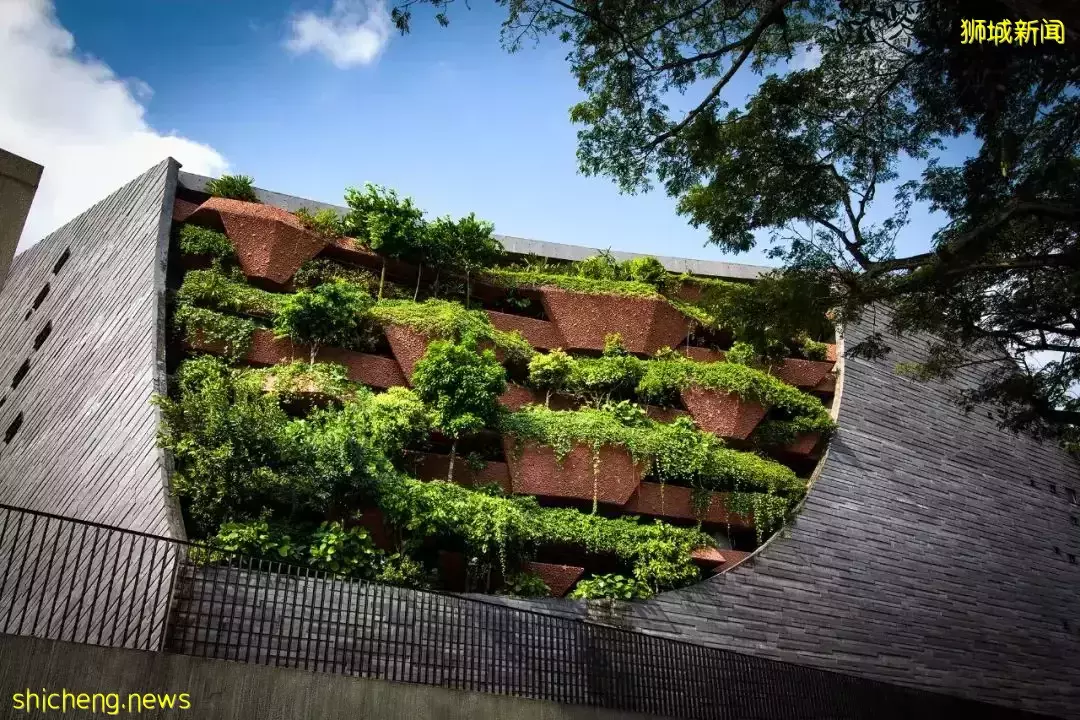 新加坡李光前自然曆史博物館 / Tierra Design (S) Pte Ltd