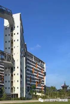 新加坡六所公立大學、工教院和理學院,今年繼續爲應屆畢業生免費培訓