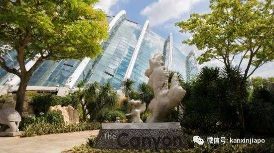 【下周活动】新加坡动物园门票75折+5新币餐券!A&F清仓半价