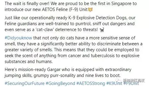 新加坡機構和企業獻上“最強愚人節惡搞”