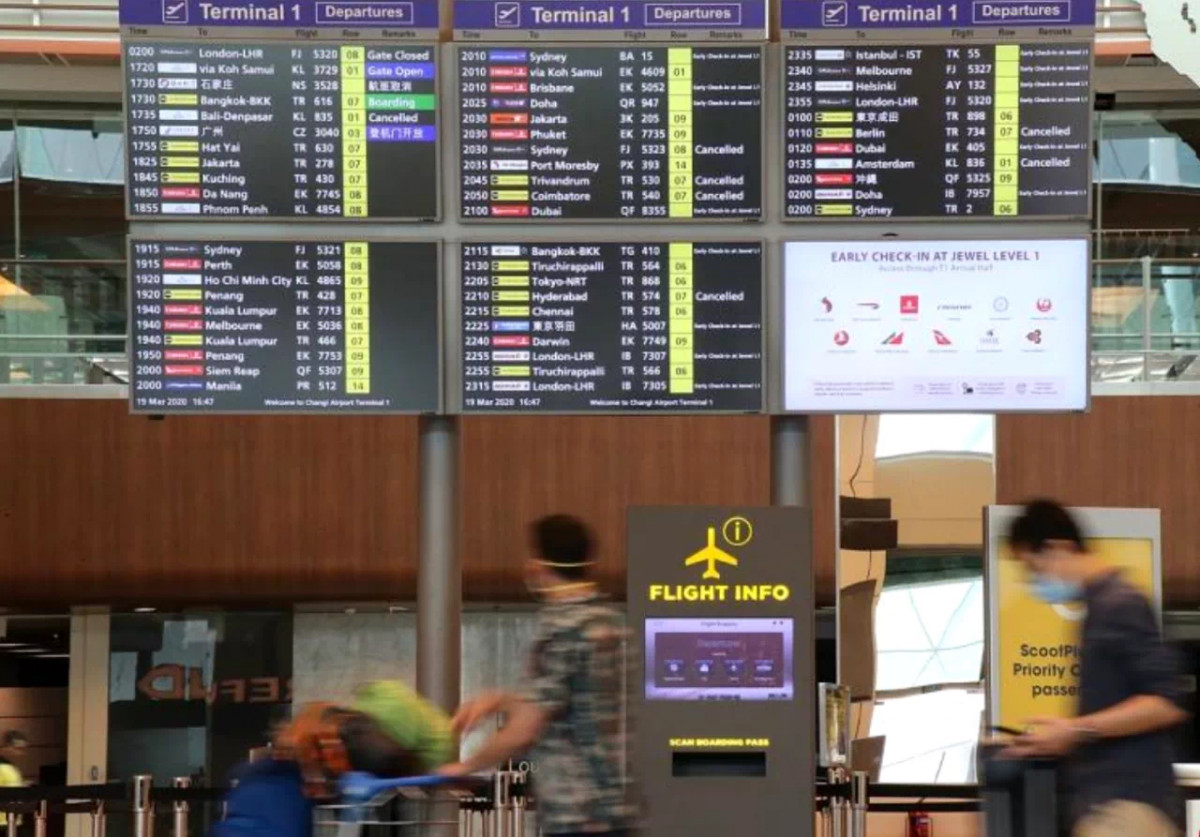 新航股价狂飙上涨14%