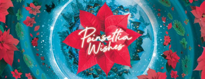 这个圣诞，来滨海湾花园开启一场梦幻的北欧之旅吧