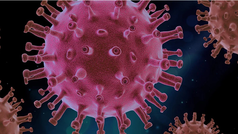 共2647名马国客工从新加坡返马 仅一人确诊