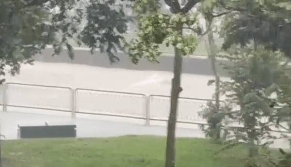 猶如世界末日!實拍新加坡被海嘯雲“吞沒”!暴雨、發大水、樹倒