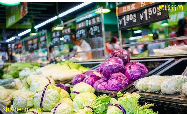 这便是新加坡,亚洲的“阿姆斯特丹”