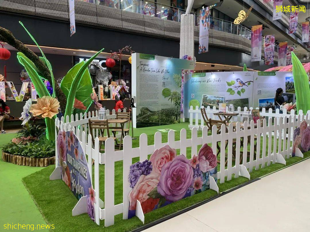 李顯龍總理打Call的超級大商城！開業就5000人擠爆，內附吃喝玩樂攻略