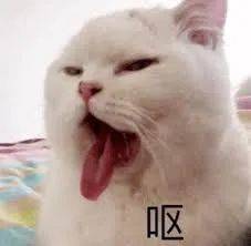 央视点名大胃王们!疫情未完,一场波及全球的危机正在发生