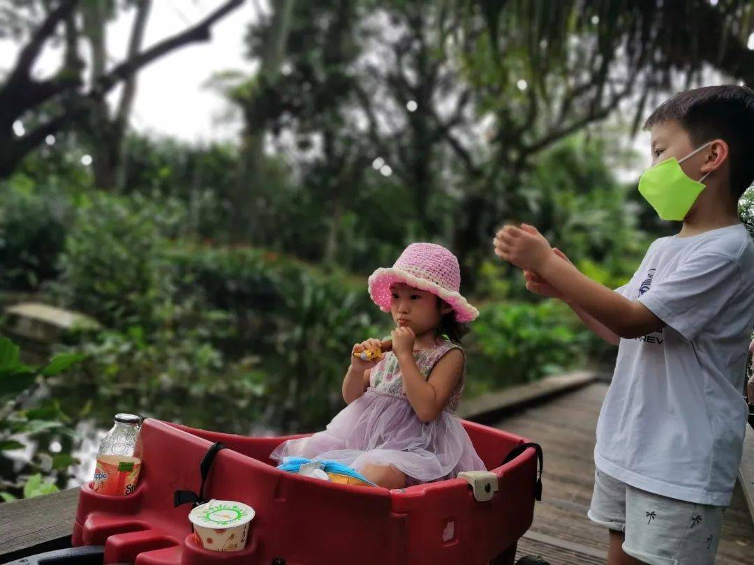 免費送票!帶倆娃嗨翻亞洲最大飛禽園,400多種5000多只鳥,一路驚喜不斷