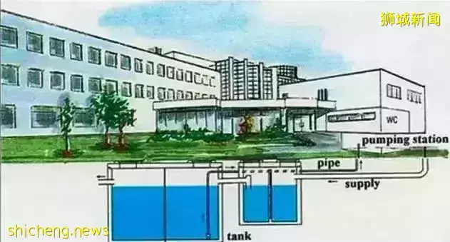 昨早,新加坡地震了?新加坡人嚇壞了