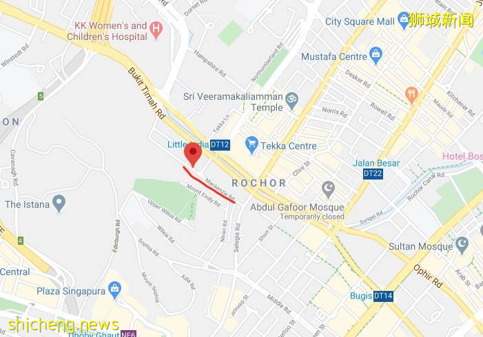 解封前，新加坡警察進行了八天“掃黃”，這些人沒有遵守安全距離