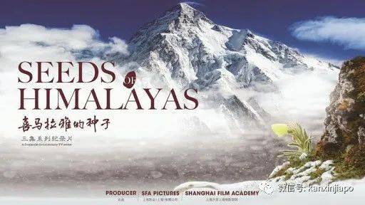 新加坡华语电影节开幕!免费看电影的机会来了