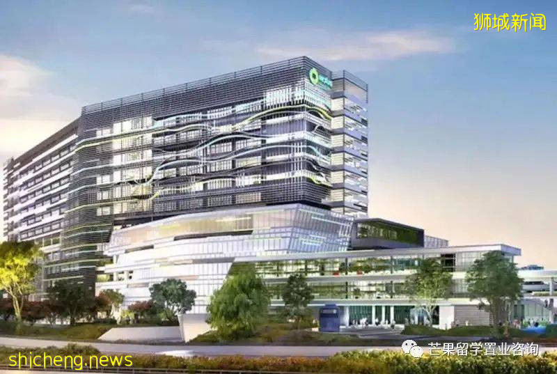 新加坡国际学校课程体系介绍