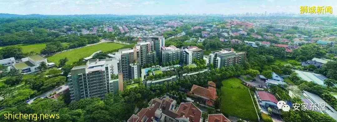 虎年春節新加坡樓盤折扣龍虎榜