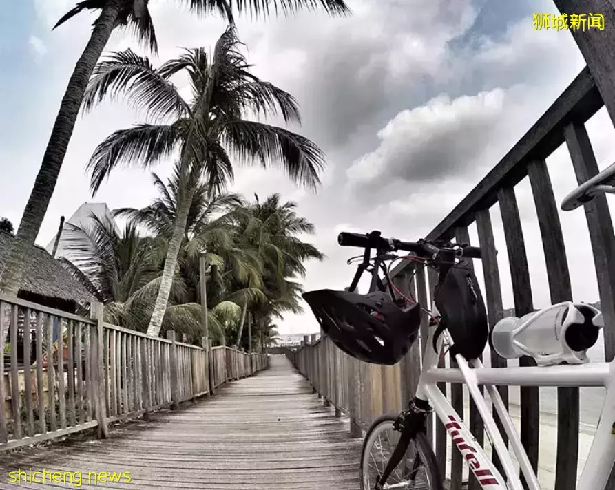 超级奶爸!带着2岁女儿骑行17小时166公里,环游新加坡