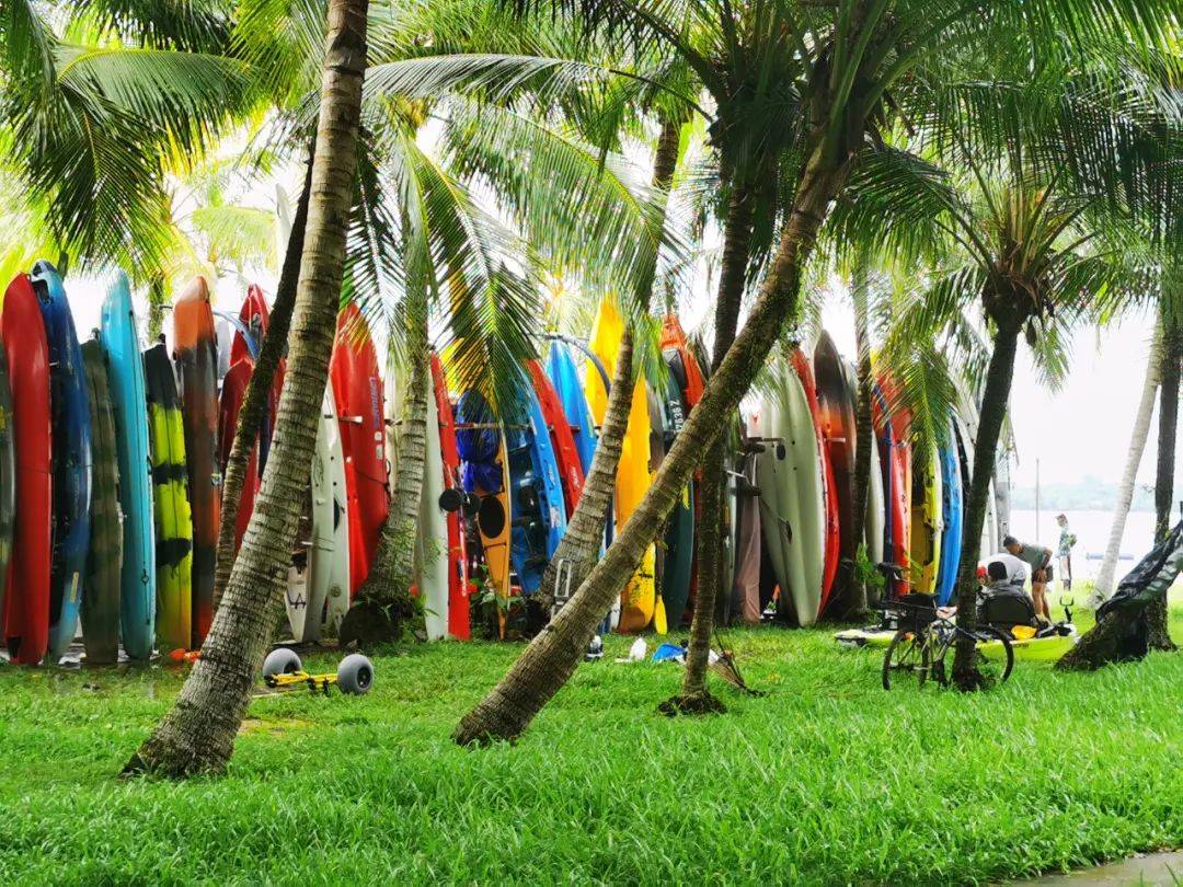 新加坡最好玩的海灘公園!趕海、騎馬、劃艇、樹籬迷宮、燒烤露營,超適合家庭出遊