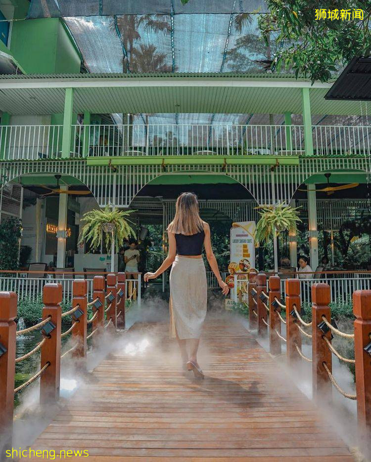 花园森系越南餐厅Lucky Saigon Cafe🌿仿佛在丛林中就餐！经典越式美食必不可少😎 